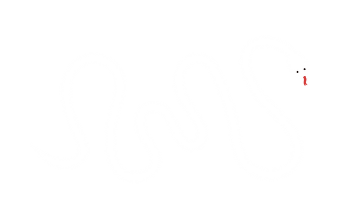 蛇
