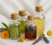 צמחי מרפא בחיפה