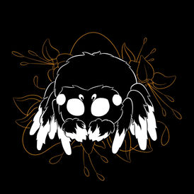 SPIDER.jpeg