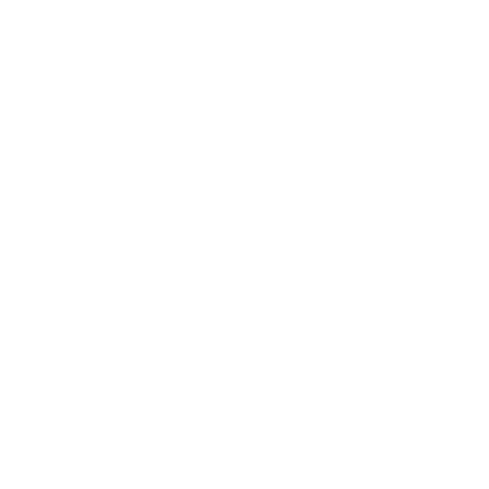 spray icon 2.png