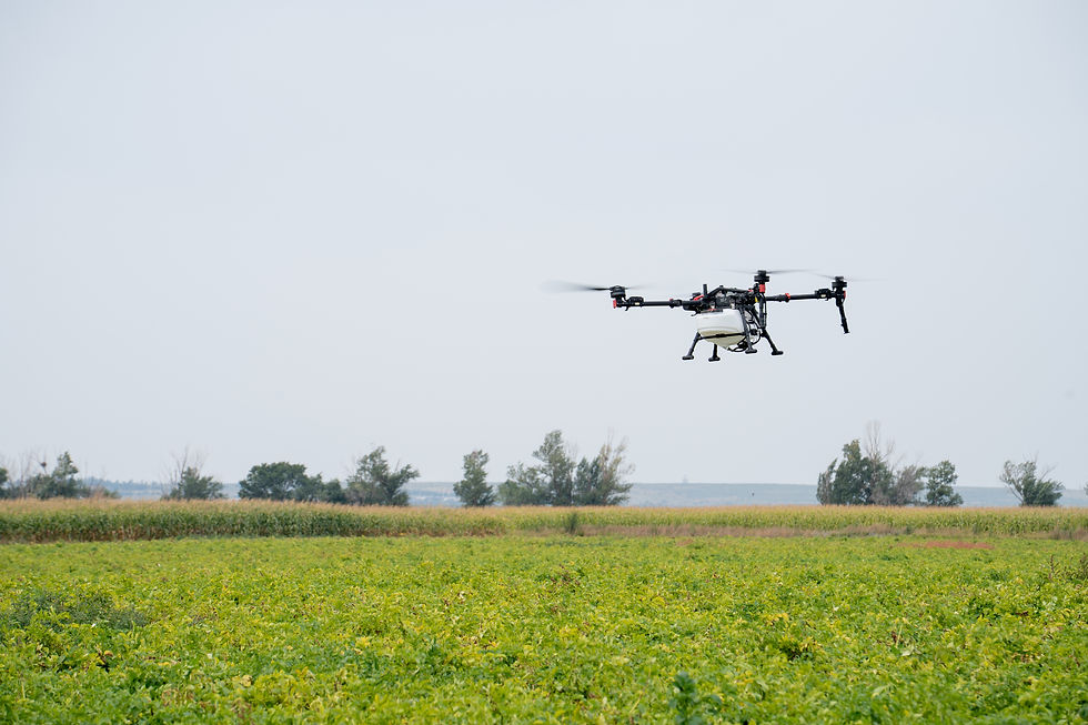 P150 Max RevoSpray - Potato Field (1).jpg