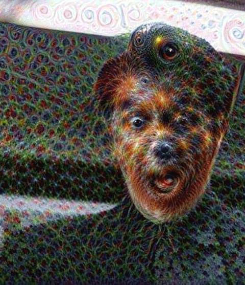 Crosby-English_Jacob_GIF_TEMP_No_4