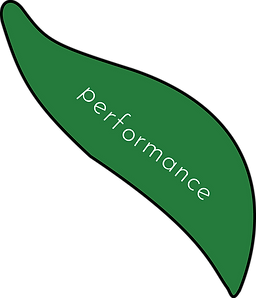 green lung2-performance.png