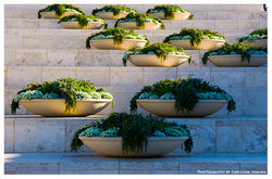 getty011.jpg