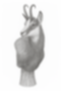 3D pencil drawing of Pedestal Chamois.png