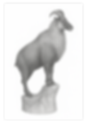 3D pencil drawing of full body Tahr_edited.png