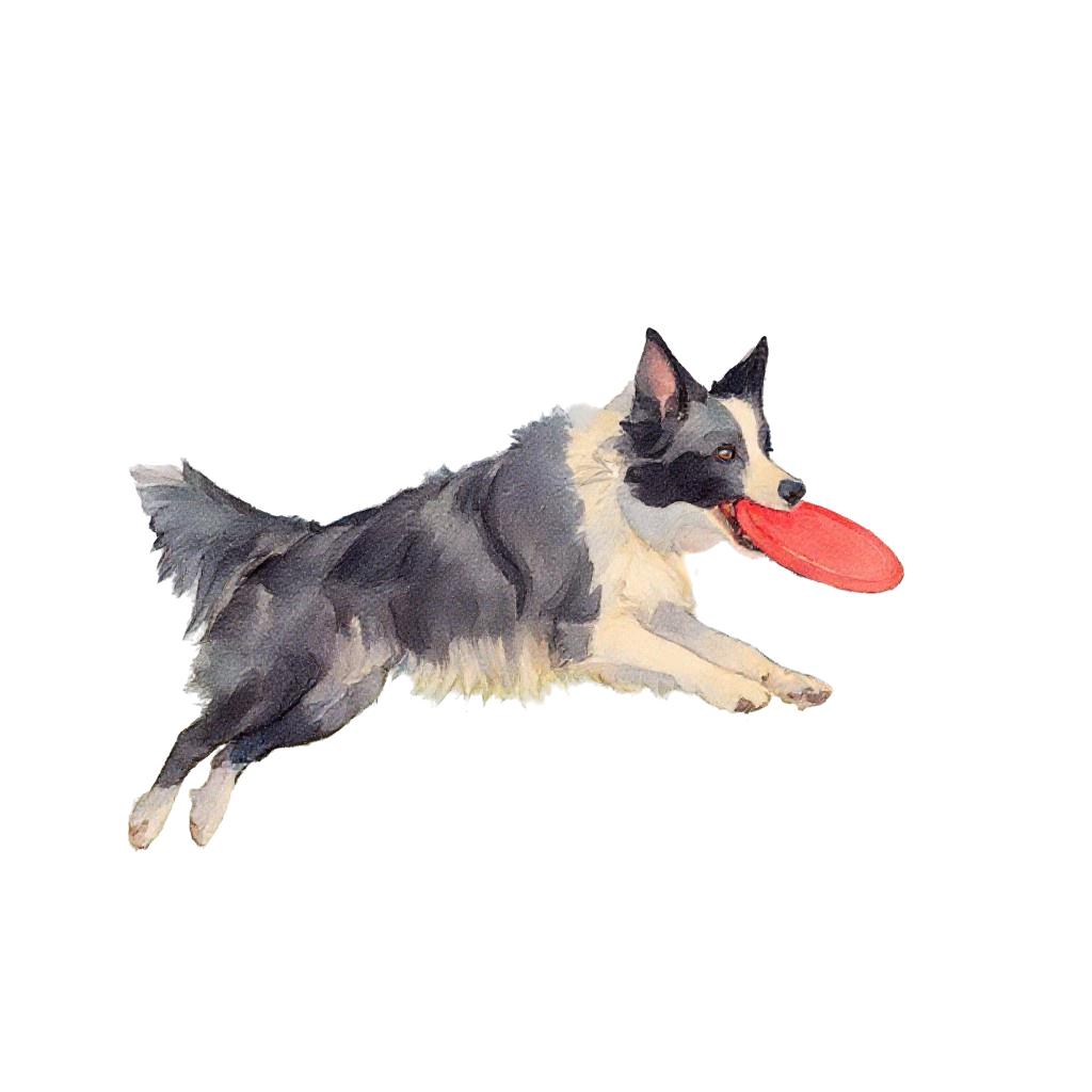 Calculator for homemade food