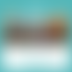 Girl Scout IP Patch Event