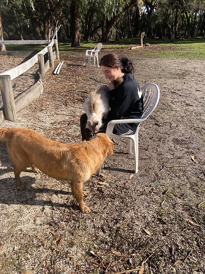 Animals3.jpeg