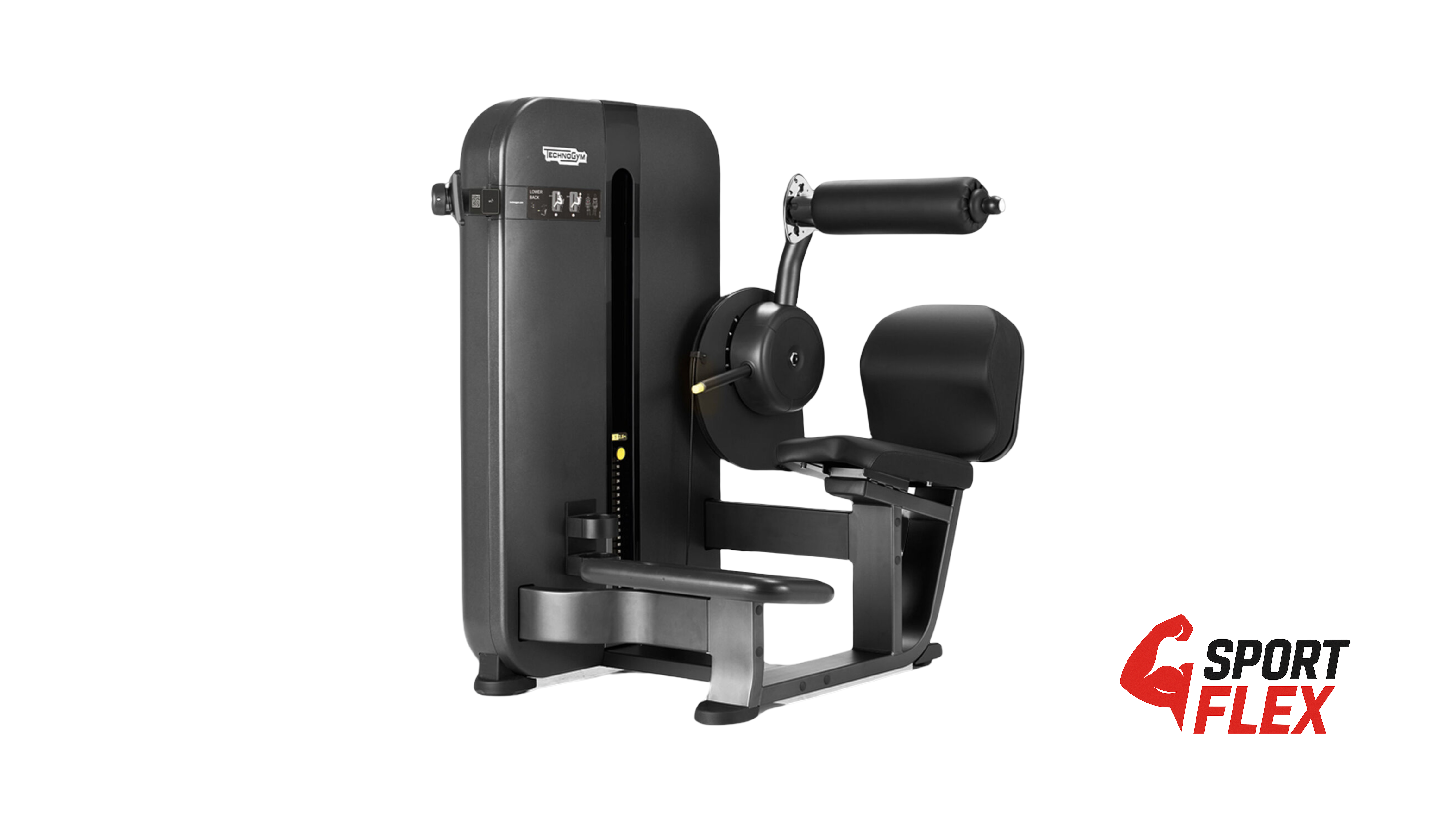 TECHNOGYM ARTIS  LOWER BACK /Technogym Artis Strength Lower Back