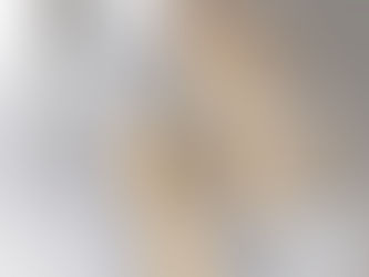 PROTHESE DE HANCHE ET ULTRA TRAIL : EST CE POSSIBLE ?