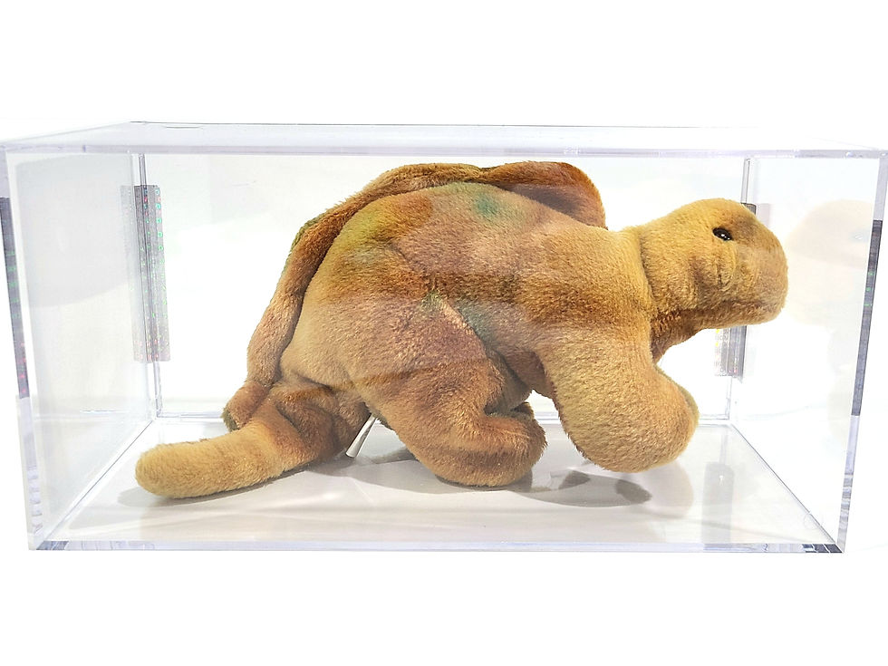 Thumbnail: Ty Beanie Baby 3rd 1st Gen Steg TBB Authenticated MWMT-MQ