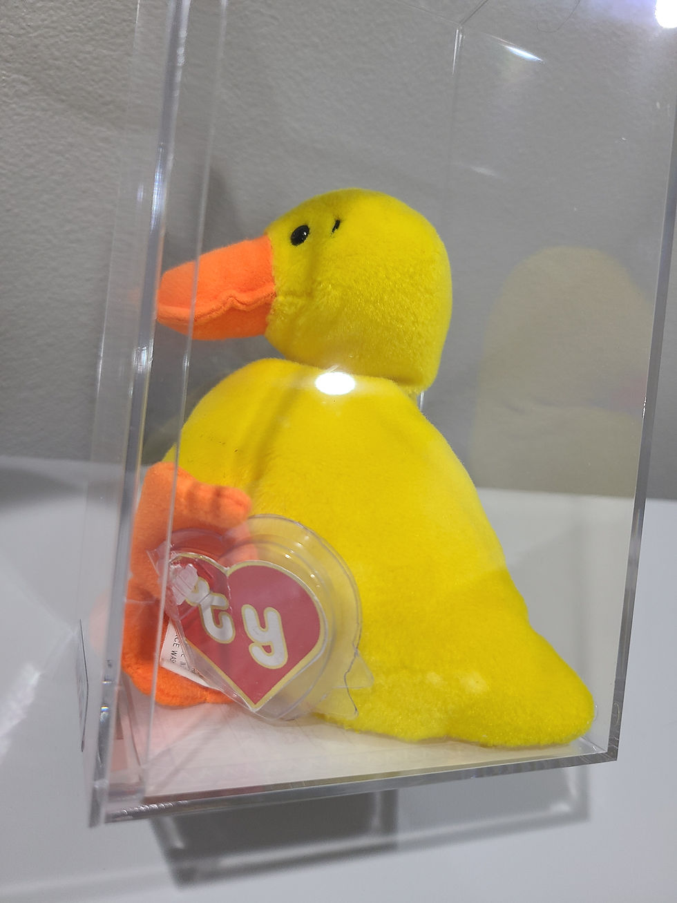 Ty Beanie Baby 2nd Gen Quacker Without Wings Wingless TBB Authenticated