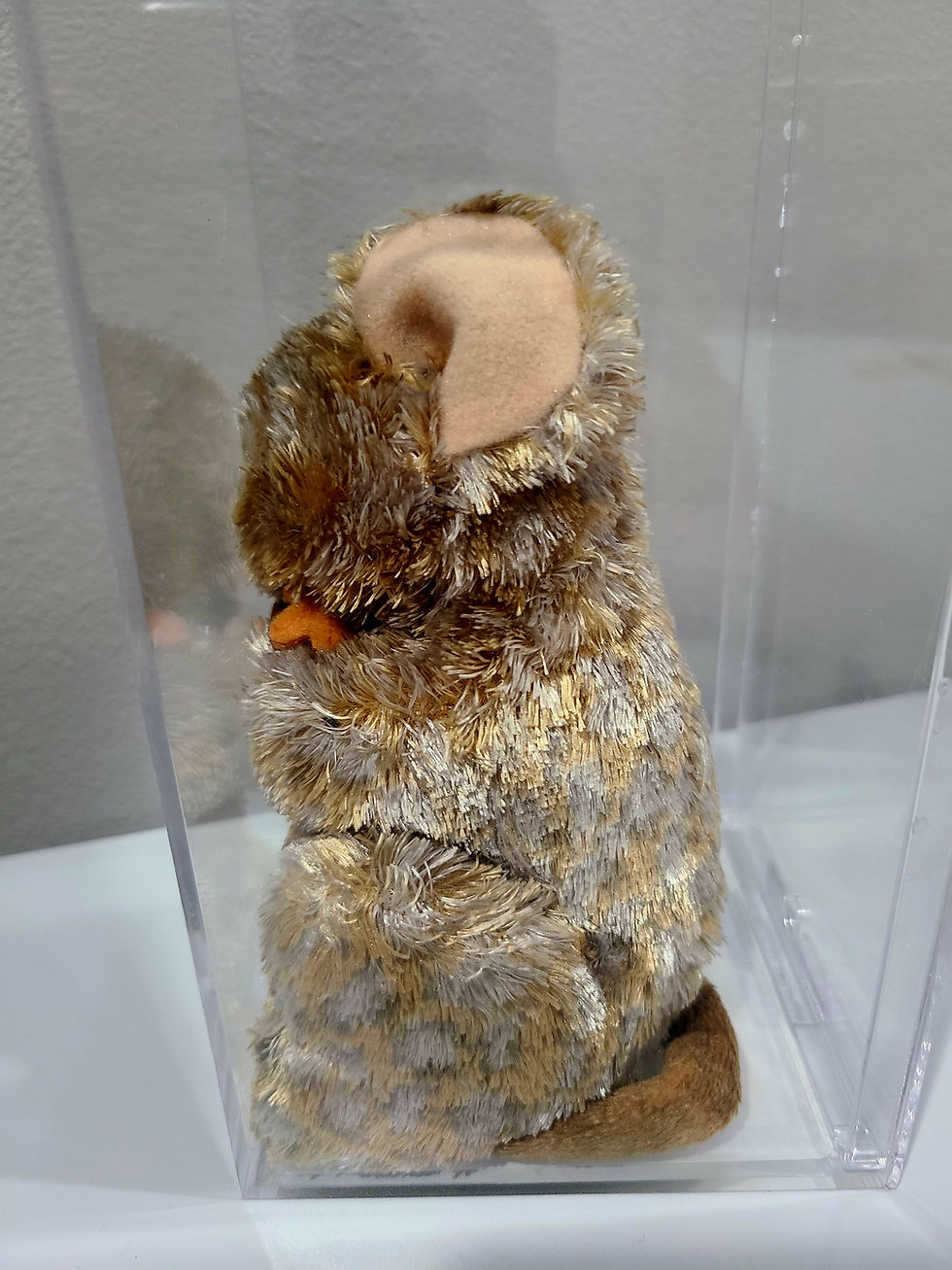 Thumbnail: Ty Beanie Baby Oakdale Sample Tush PROTOTYPE TBB Authenticated MQ!