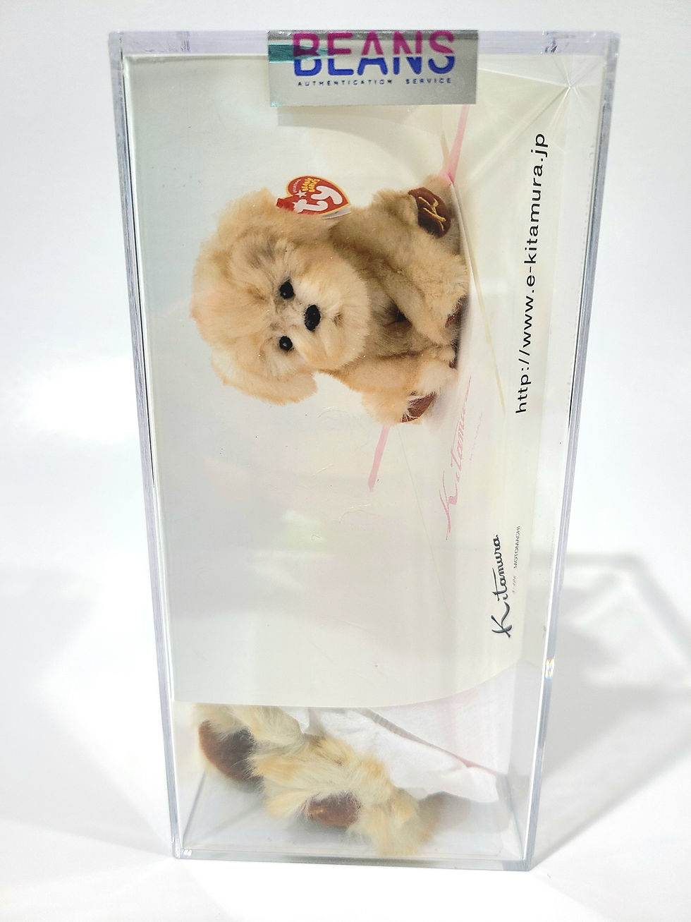Thumbnail: Ty Beanie Baby Senna Kun Brown Paws Japan TBB Authenticated MWMT-MQ