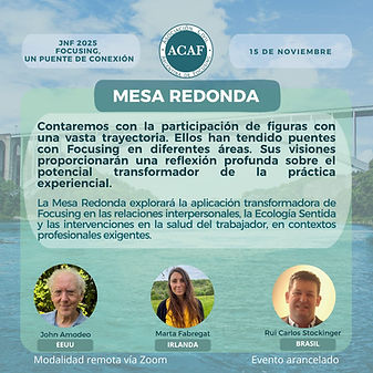 Mesa redonda_JNF2025.jpeg