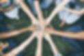 people-stacking-hands-together-park-min_komprimiert.png