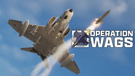 Operation Wags: Flying for a Good Cause