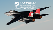 Skyward's 4th Anniversary!