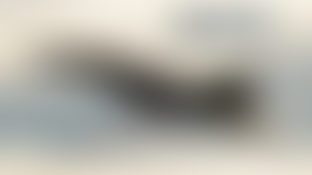 Interview: Stormbirds; Looking Back 5 Years of Operation