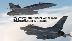 The Reign of a Bug and a Snake: How the F/A-18C and the F-16CM dominate DCS World