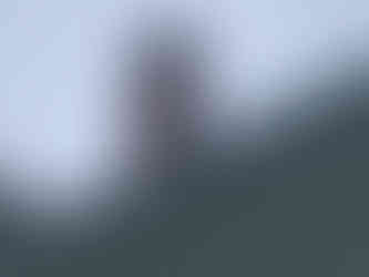 Chimney repair or replacement | Crown Roofing Service