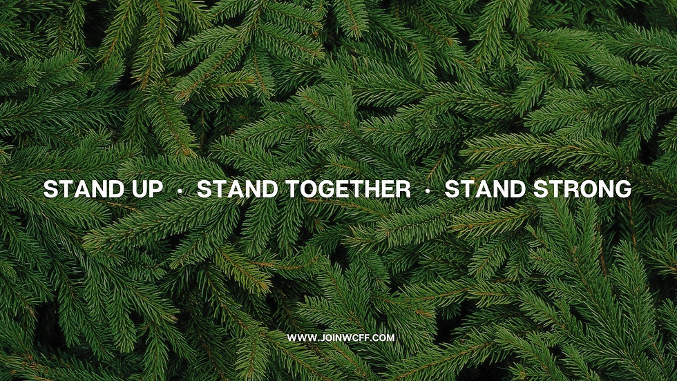 WCFF's three core values.