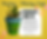Painting & Planting Craft (Ages: 9-13)