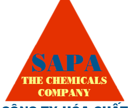 Giới Thiệu Về Công Ty Sapa