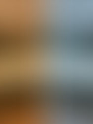 The Top Kitchen Cabinet Colors of 2026