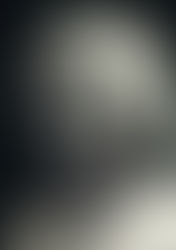 CARMICHAEL (MACLEAN), Nerine Stella