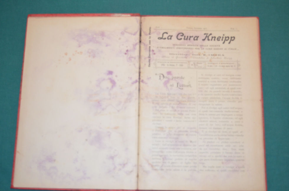 Miniatura: LA CURA KNEIPP 1902 Annata Completa da 12/1901 a 11/1902 12 dispense Idroterapia