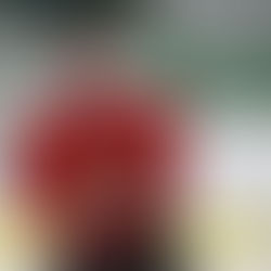 A renewed outlook for MSU forward Johl Swedlo