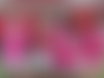 MSU soccer upsets No. 13 Mankato 2-1 in double OT