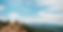 UTRbackground_edited.jpg