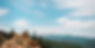 UTRbackground_edited.jpg