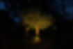 HYDRAPROâ„¢ MR16 well light.jpg