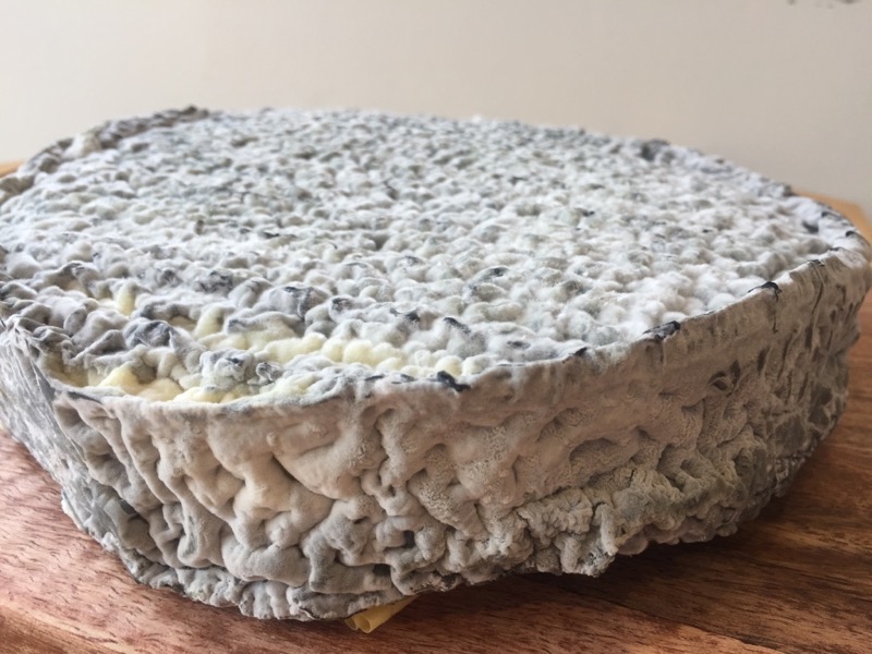 Boston Cheese Cellar