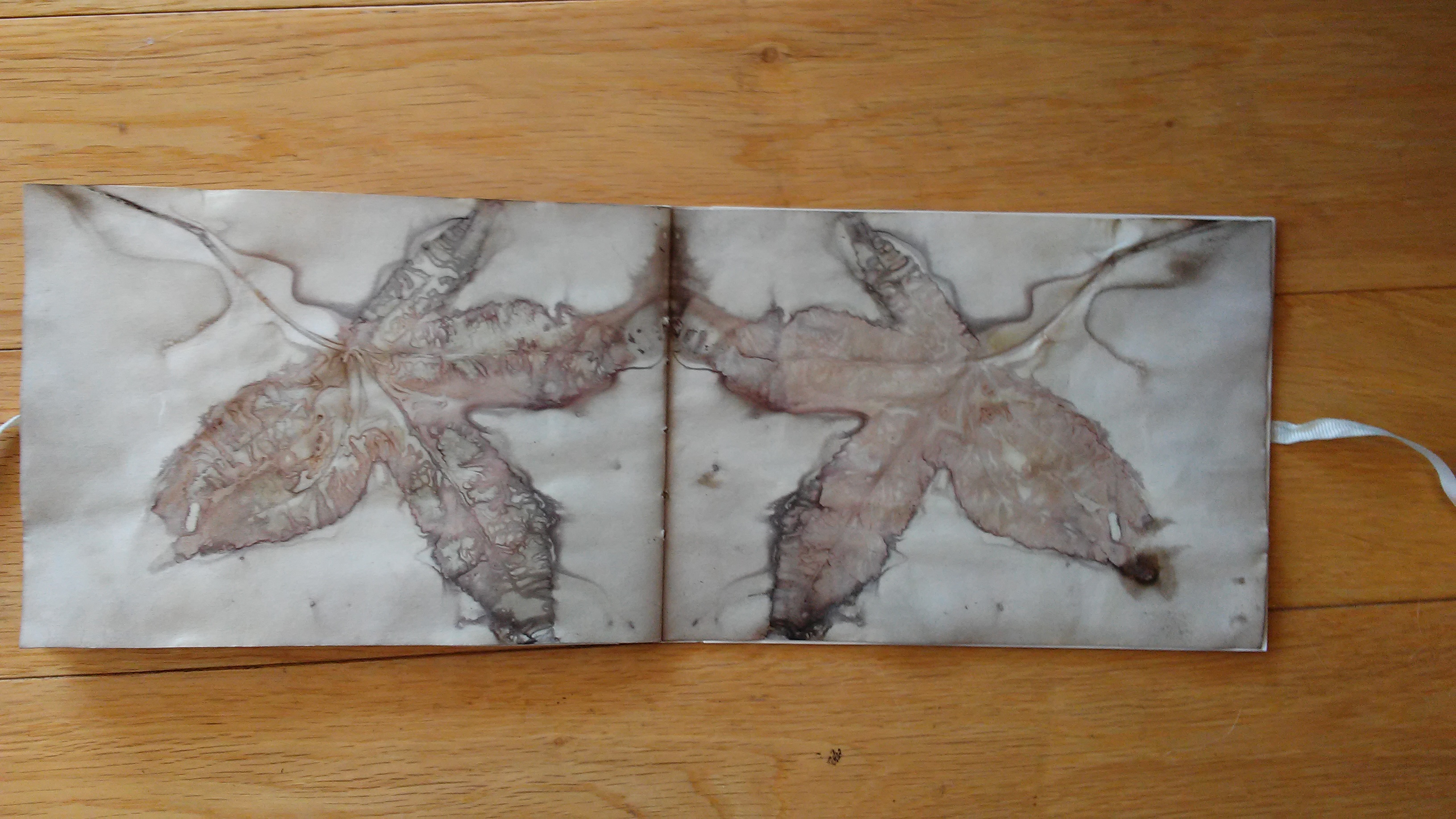 Boiled Book