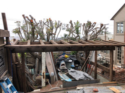 Building a New Pergola
