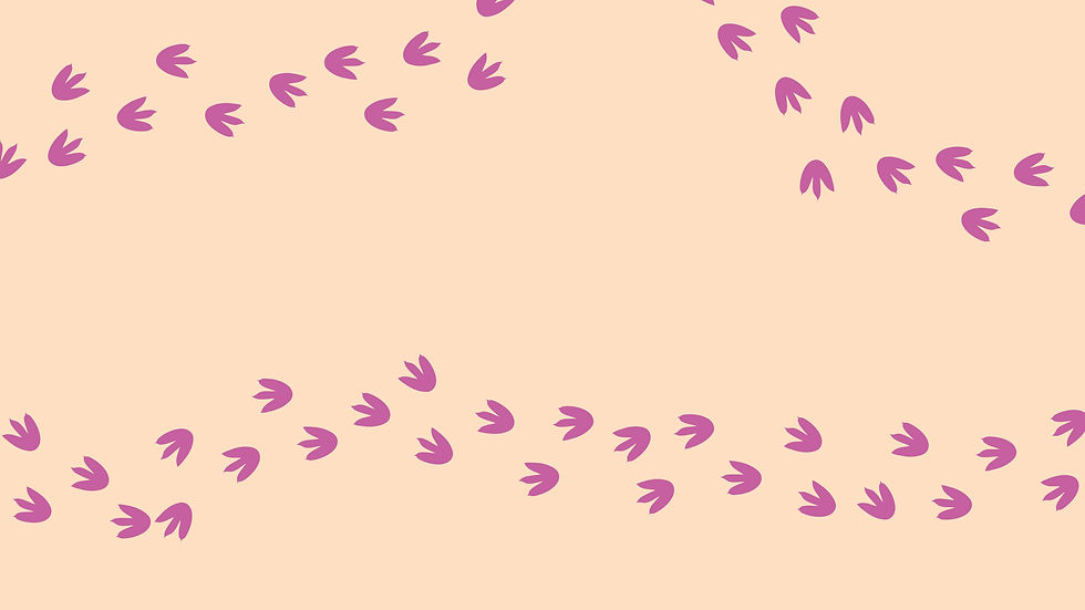 website background_edited.jpg