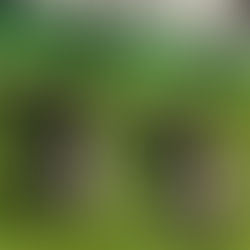 シーモアゼロトルクモデルの在庫状況と納期について