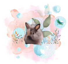 Design sans titre (5).png