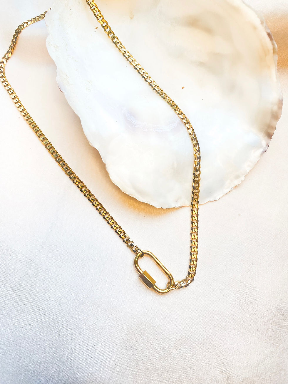 Thumbnail: PROTECTOR | simple chain with carabiner