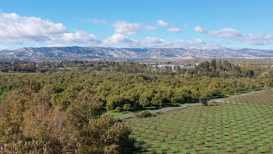 HABITAT BUFFER 2.png