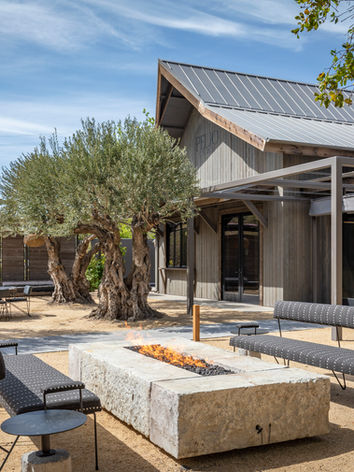 Pelio tasting room outdoor firepit and seating area