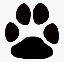 perro.png