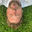Autorenbild: Jonathan Wuermeling