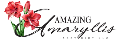 Amazing-Amaryllis-Logo.png
