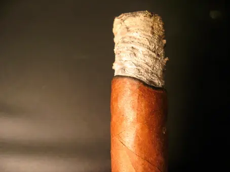 El Arte de la Ceniza: ¿Qué Dice la Ceniza de tu Cigarro Sobre Su Calidad? 🔬💨